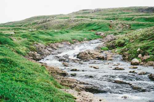 nature brook creek stream