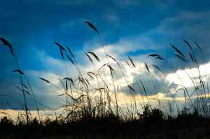 clouds daylight field grass