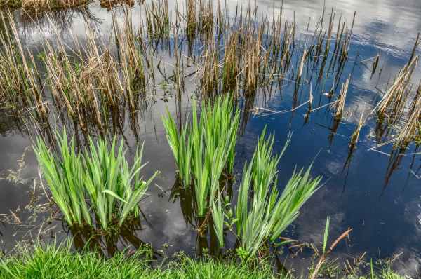 sea lake pond hdr