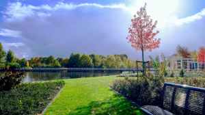black metal bench on grassy garden