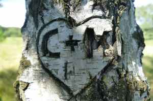 c m heart embossed on three