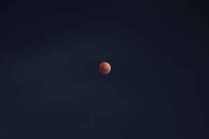 photography of blue moon