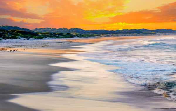 closeup photo of seashore during golden hour