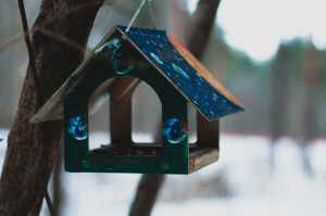 selective focus photography of blue wooden birdhouse