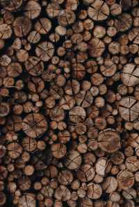 photo of woodpile