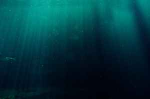 blue blur color dark