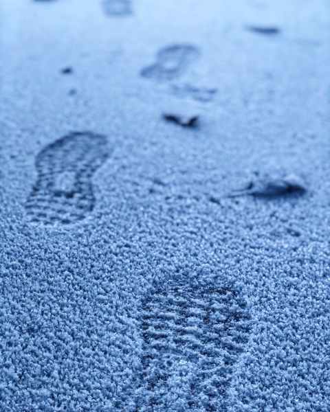 shoe prints