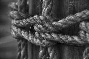 grayscale photo of rope on log