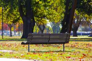 black wooden bench on green grass