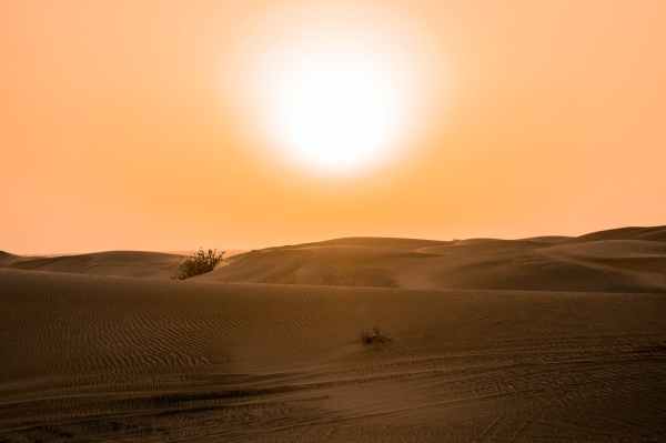 desert under yellow sunset